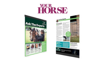 Your Horse Magazine - Ask the Experts