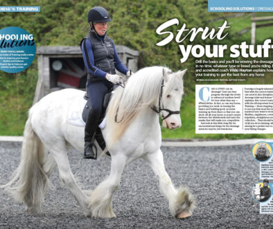 Your Horse Magazine Training – Schooling Solutions